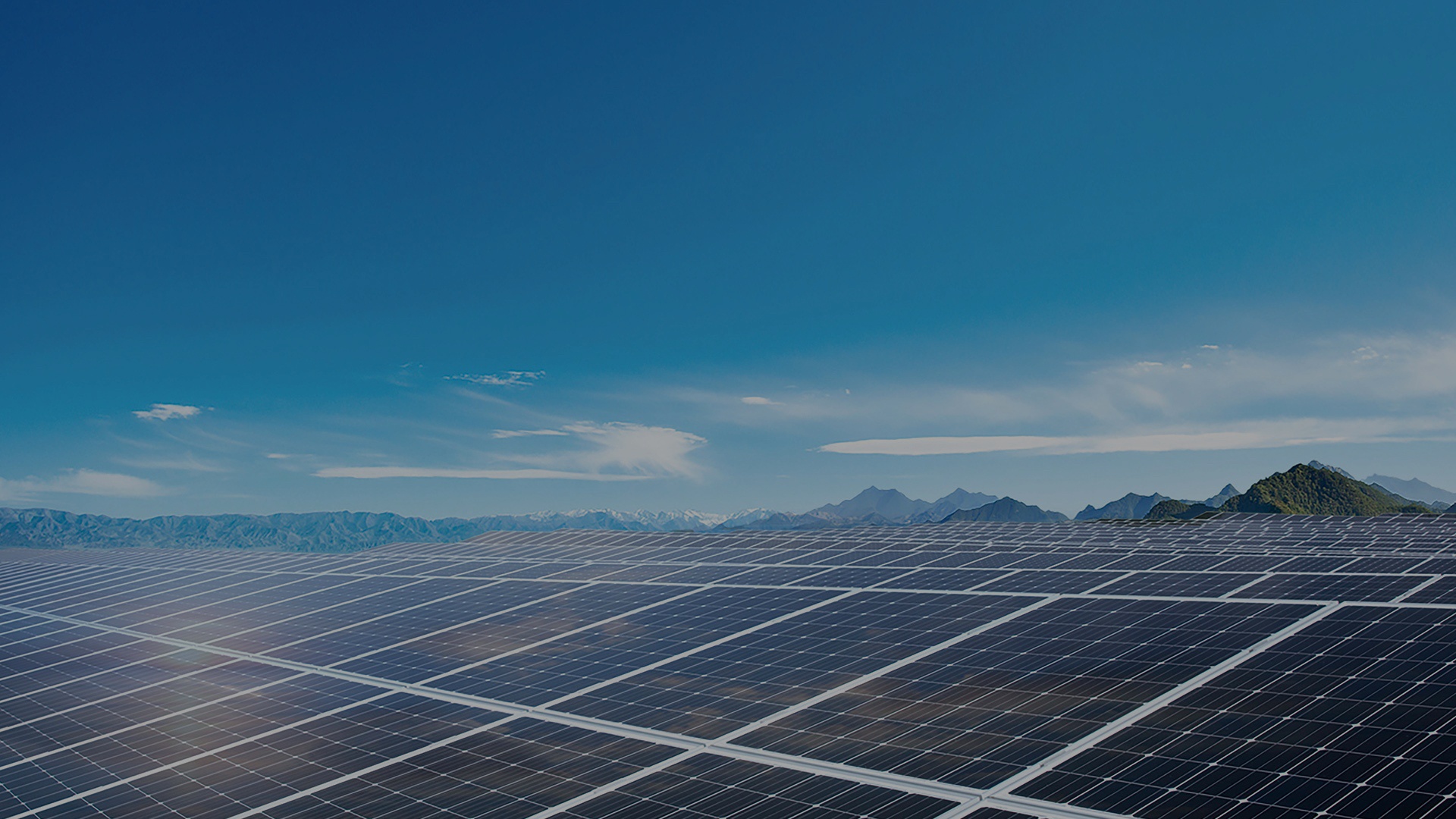 亚洲精品一区二区三区新线路